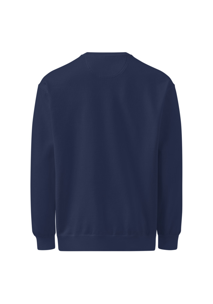 Freedom in Flight Unisex Sweatshirt (Comfort Colors)