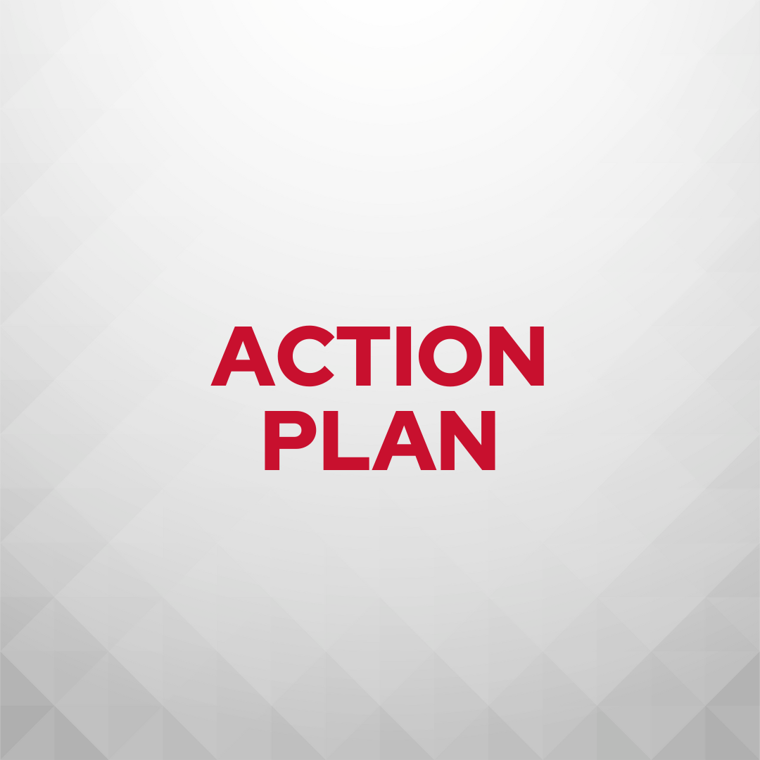 Action Plan